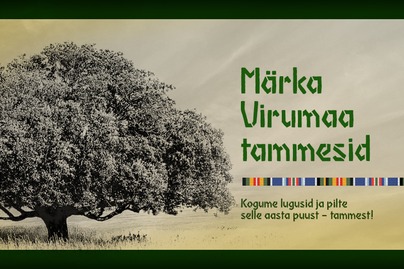 The post Märka Virumaa tammesid appeared first on Viru Instituut.